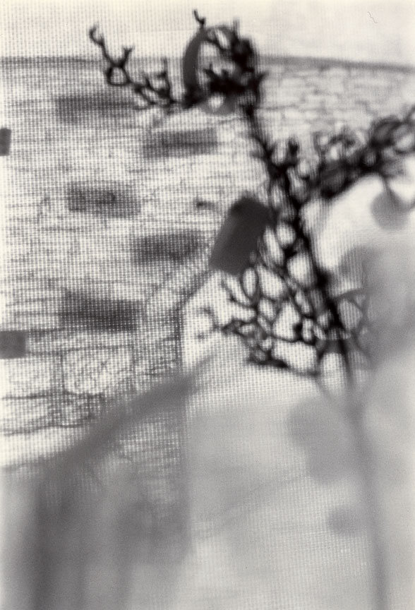 <b>Aqueduct Half-arch</b>, 2009, gelatin silver print, 7.25inx5 inches