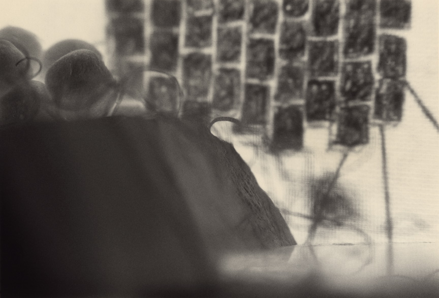 <b>Bluff</b>, 2011, gelatin silver print, 5x7.5 inches