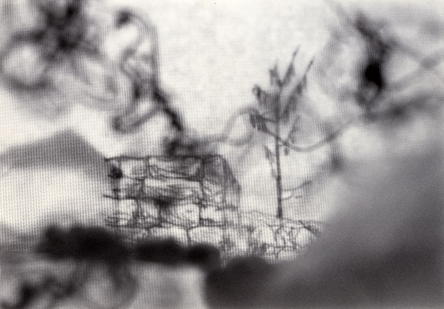 <b>Corner Wall</b>, 2010, gelatin silver print, 5x7 inches