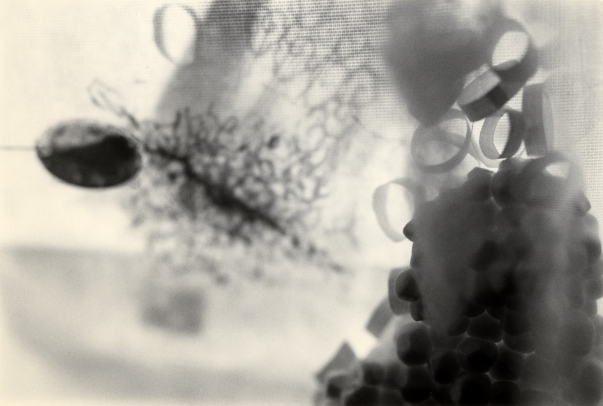 <b>Bluff 2</b>, 2009, gelatin silver print, 7.5x5 inches