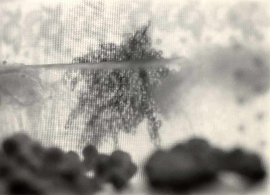 <b>Horizon</b>, 2009, gelatin silver print, 5x7 inches