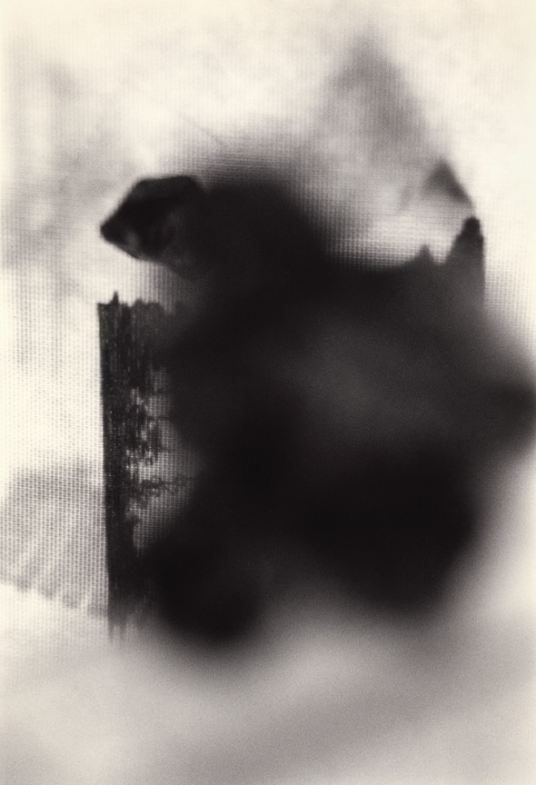 <b>Mountain</b>, 2011, gelatin silver print, 7.5x5 inches