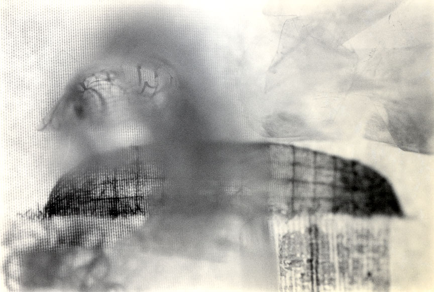 <b>Curved Stone Wall</b>, 2009, gelatin silver print, 5.325inx8 inches