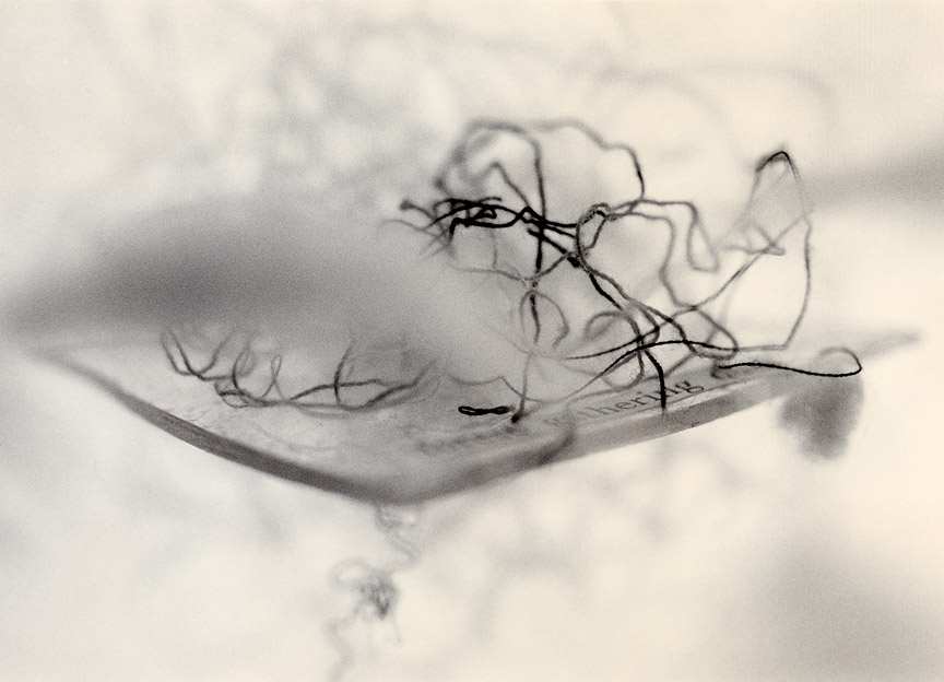 <b>Gathering</b>, 2008, gelatin silver print, 5.5x7.5 inches