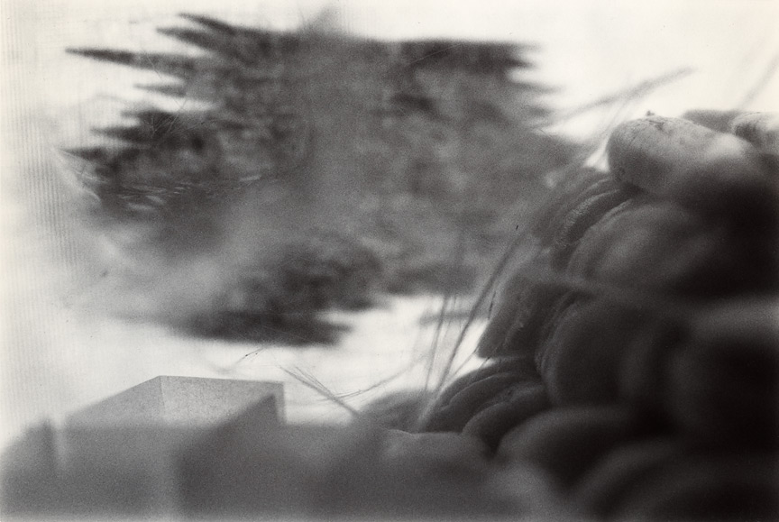<b>Shore</b>, 2009, gelatin silver print, 5.25x8