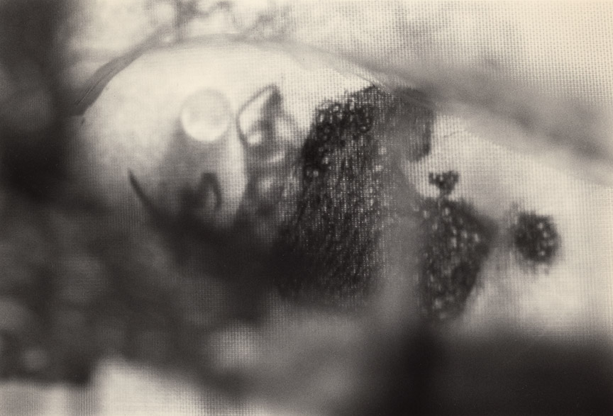 <b>Ominous Cloud</b>, 2011, gelatin silver print, 5x7.5 inches