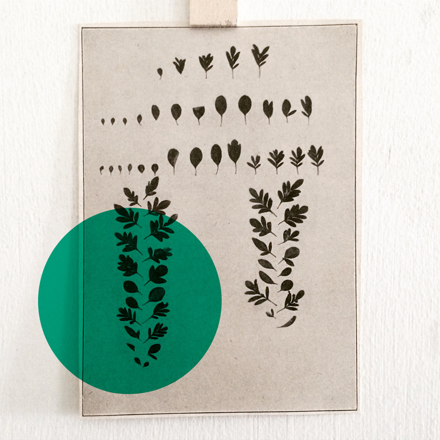 <b>study 01 (pantone green)</b>, 2017, instagram
